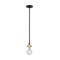 Nuvo Fixture, Pendant, 1-Light, Incandescent, 100W, 120V, A19, Medium Base, Height: 16.38 60/6987 - alternate 2
